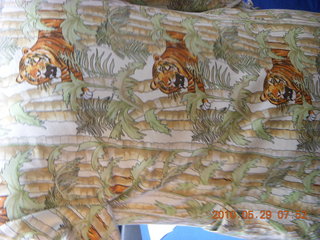 Princeton reunions - Art Museum - 1979 jacket