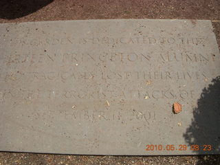 Princeton reunions - Art Museum - rare Korean teapot