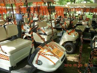Princeton reunions - golf carts