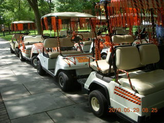 Princeton reunions - Art Museum