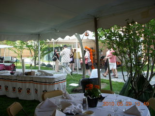 Princeton reunions - lion