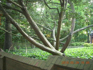 Princeton Reunions - Footnotes alumni - 1879 Arch