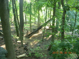 Elkins Park / Cheltenham run