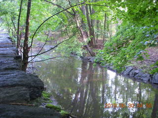 Elkins Park / Cheltenham run