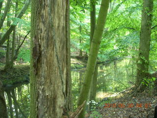 Elkins Park / Cheltenham run