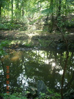 Elkins Park / Cheltenham run