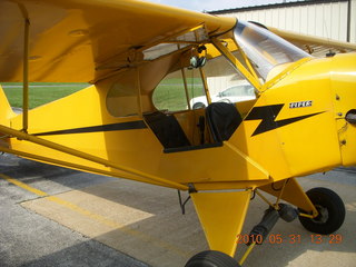 Neil's Piper Cub
