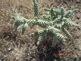 aerial - mountain near Superior Airport (E81)