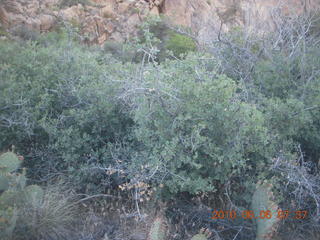 Bagdad run, green after the rain - aerial