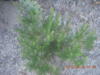 Bagdad run, green after the rain - aerial