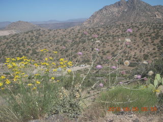 Bagdad Airport (E51) run