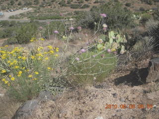 Bagdad Airport (E51) run