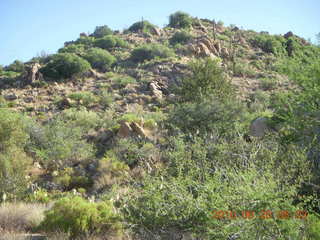 Bagdad Airport (E51) run