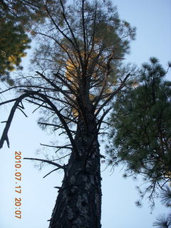 Sean and Kristina camping - spider