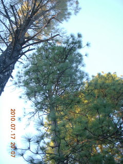 Sean and Kristina camping - spider