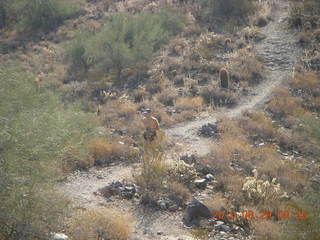 Lost Dog Wash run - Adam running