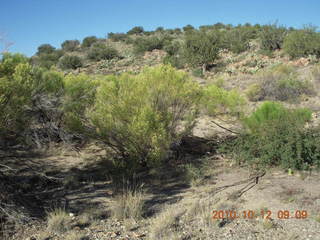 Bagdad Airport (E51) run