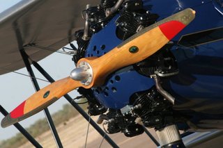 Will's Copperstate pictures