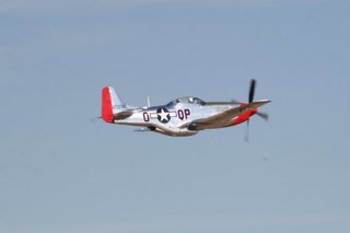 Will's Copperstate pictures