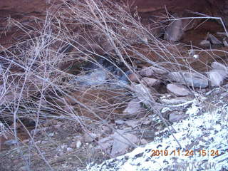 50 7dq. Moab trip - Negro Bill hike