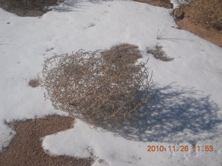 100 7ds. Moab trip - Needles - Confluence Overlook hike