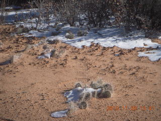 142 7ds. Moab trip - Needles - Confluence Overlook hike