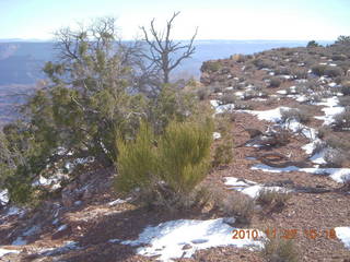 81 7dt. Moab trip - Canyonlands Lathrop hike