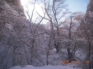 51 7ex. Zion National Park trip