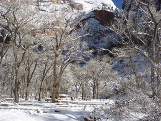 113 7ex. Zion National Park trip - Sheri's pictures