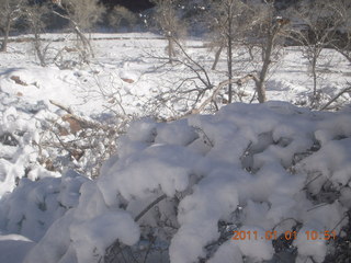 54 7f1. Zion National Park trip - Angels Landing hike