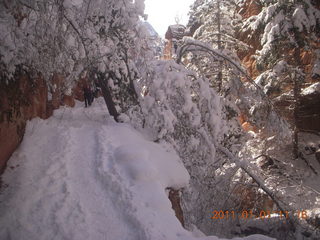68 7f1. Zion National Park trip