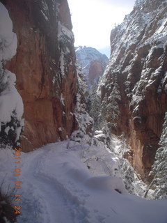 71 7f1. Zion National Park trip