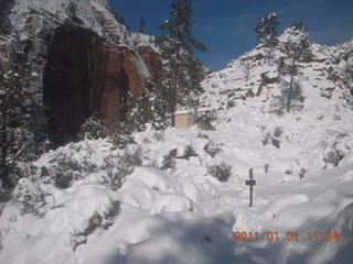 74 7f1. Zion National Park trip