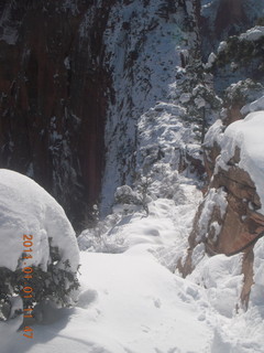 86 7f1. Zion National Park trip