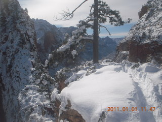 87 7f1. Zion National Park trip