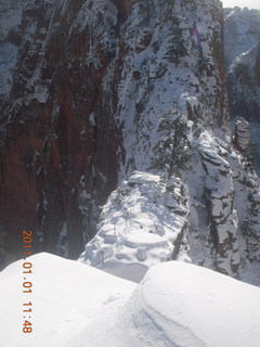 88 7f1. Zion National Park trip