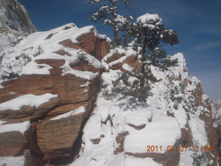 96 7f1. Zion National Park trip