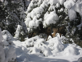122 7f1. Zion National Park trip - Sheri's pictures