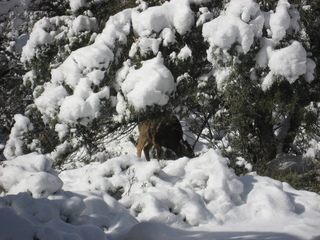 123 7f1. Zion National Park trip - Sheri's pictures