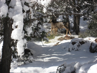 126 7f1. Zion National Park trip - Sheri's pictures