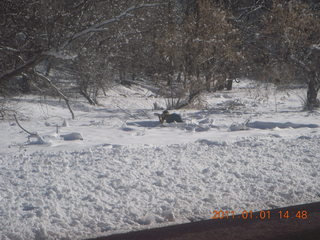 136 7f1. Zion National Park trip