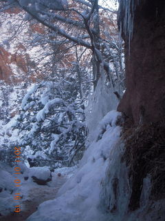 174 7f1. Zion National Park trip