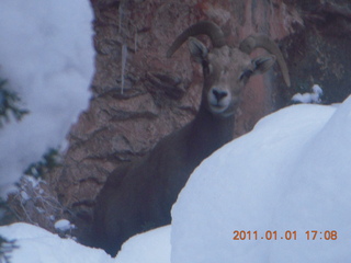210 7f1. Zion National Park trip