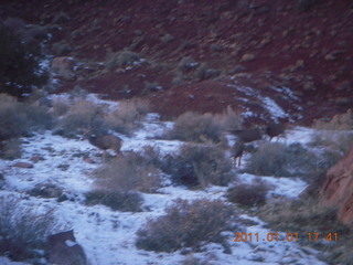 218 7f1. Zion National Park trip