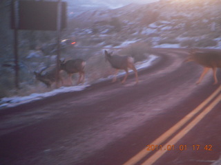 223 7f1. Zion National Park trip