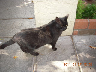 my new chartholder birthday present