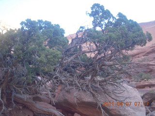 36 7j7. Canyonlands Lathrop hike/run