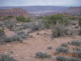 27 7j8. dirt road drive to Anticline Overlook - viewpoint
