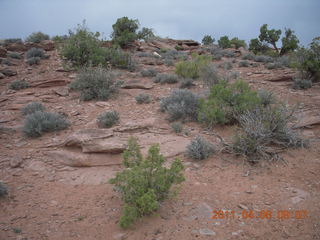 72 7j8. Anticline Overlook