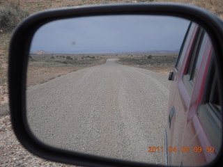 97 7j8. dirt road drive from Anticline Overlook - cows in mirror